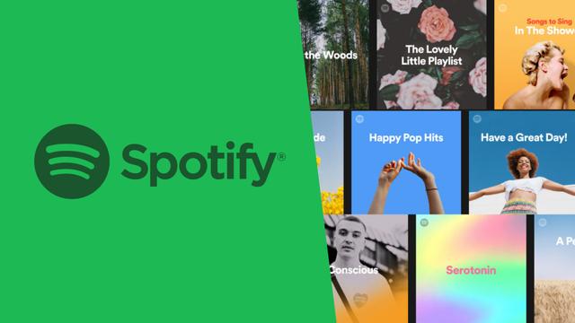  A Guide to Securing a Spot on Spotify Playlists: How to Stay at the Top of the Rankings